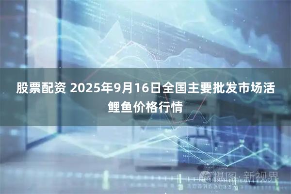 股票配资 2025年9月16日全国主要批发市场活鲤鱼价格行情