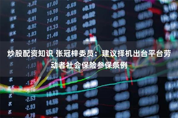 炒股配资知识 张冠梓委员：建议择机出台平台劳动者社会保险参保条例